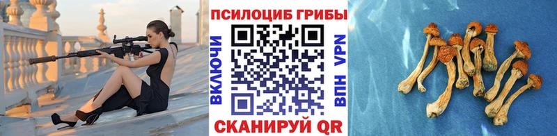 Галлюциногенные грибы прущие грибы Соликамск